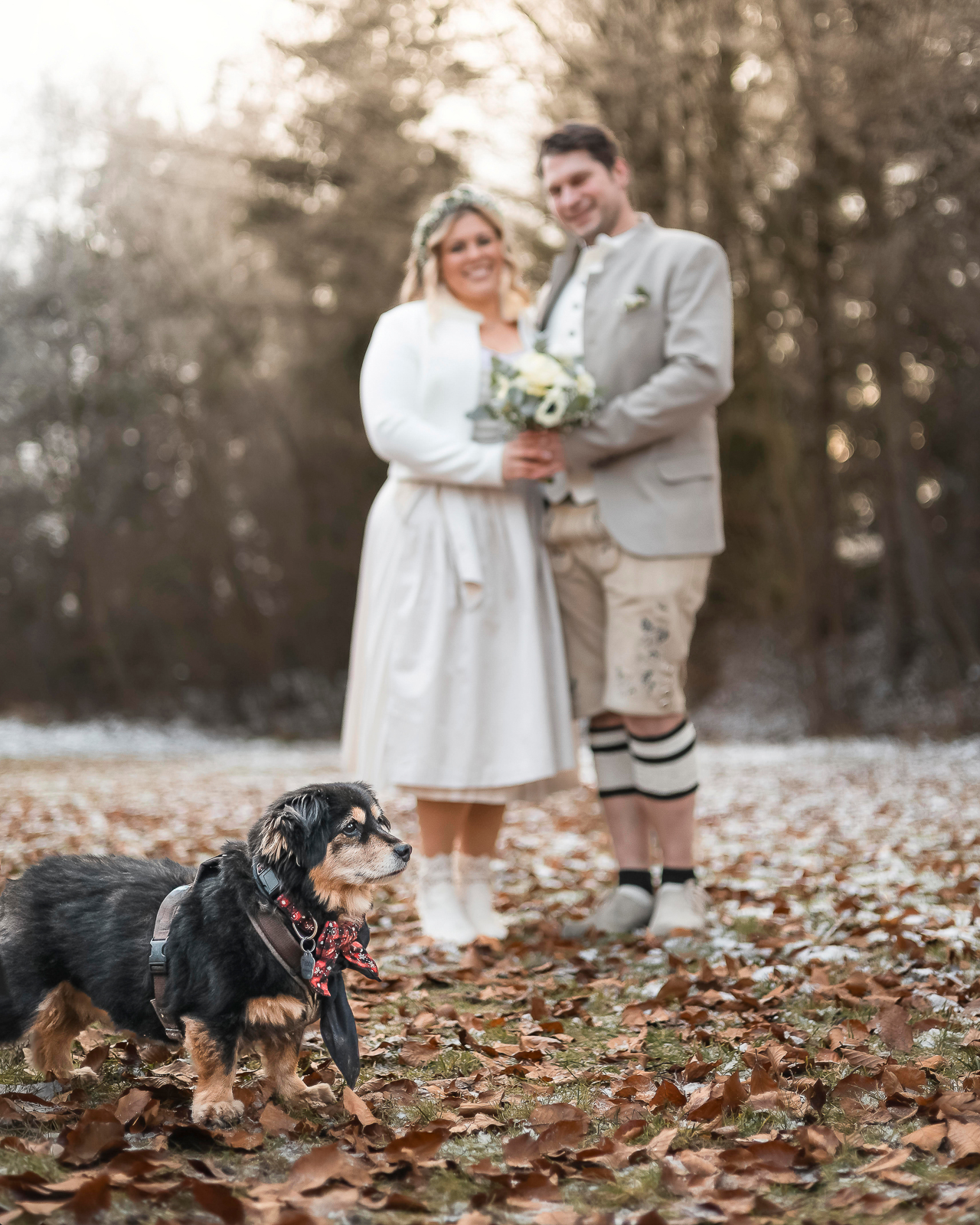 Hochzeitsfotografin Königsbrunn – Brautpaar in Tracht Winterlandschaft Hund im Vordergrund